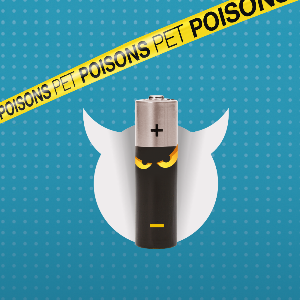 Pet dangers pet poisons - Batteries