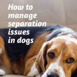 Domes Pharma - An owners guide to separation related issues