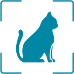 Cat icon