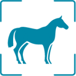 Horses icon